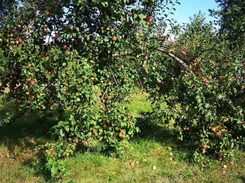 Fågelviksvägen 3, Värmdö – bild 11