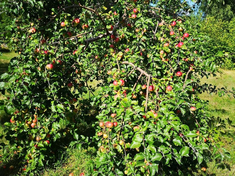 Fågelviksvägen 3, Värmdö – bild 10